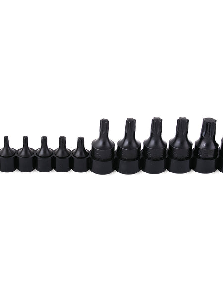 Juego de 12 dados punta Torx® Urrea