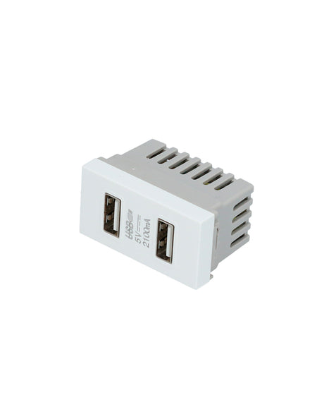 Módulo USB doble blanco 1/3 Surtek.