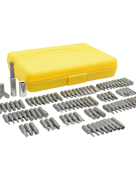 Juego de 100 puntas intercambiables en juego Surtek